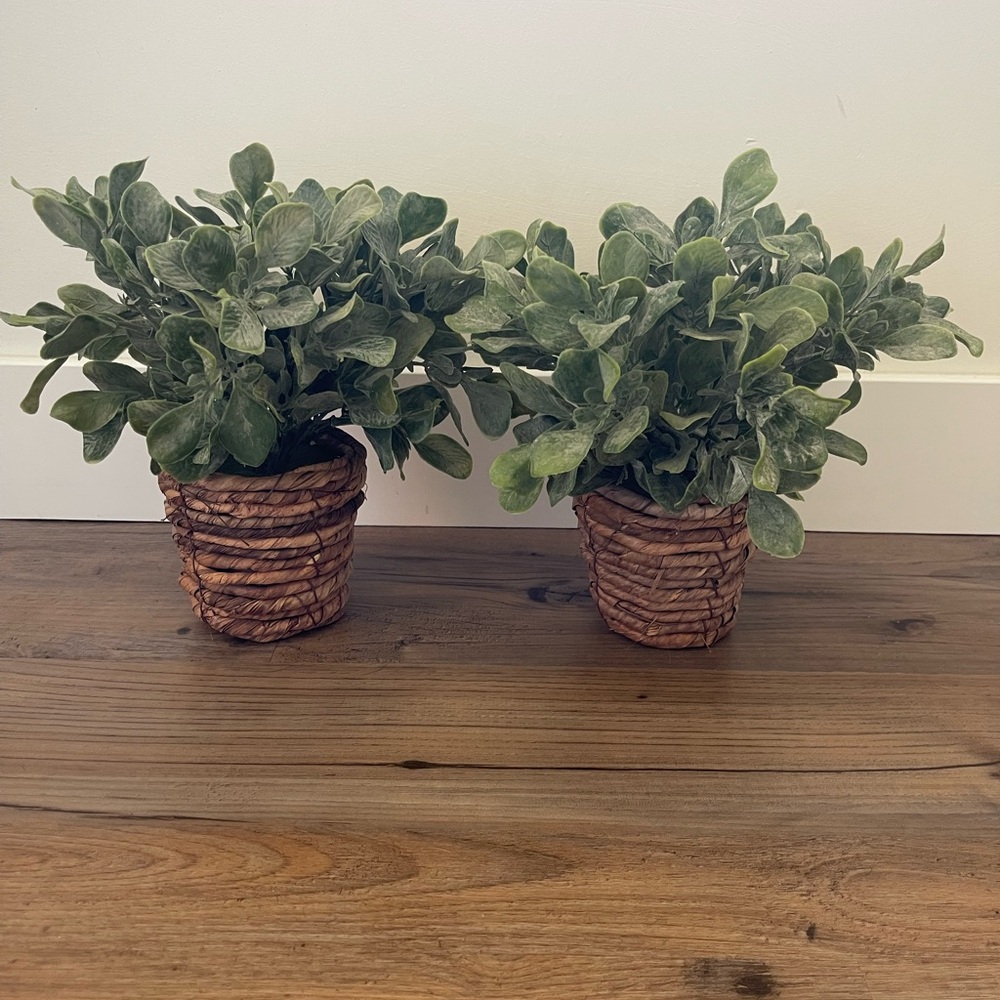 2 Faux Plants